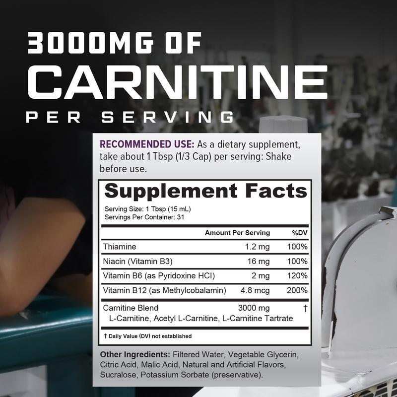 مكمل L-Carnitine السائل - يدعم - مراجعة L-Carnitine Liquid وسعره
